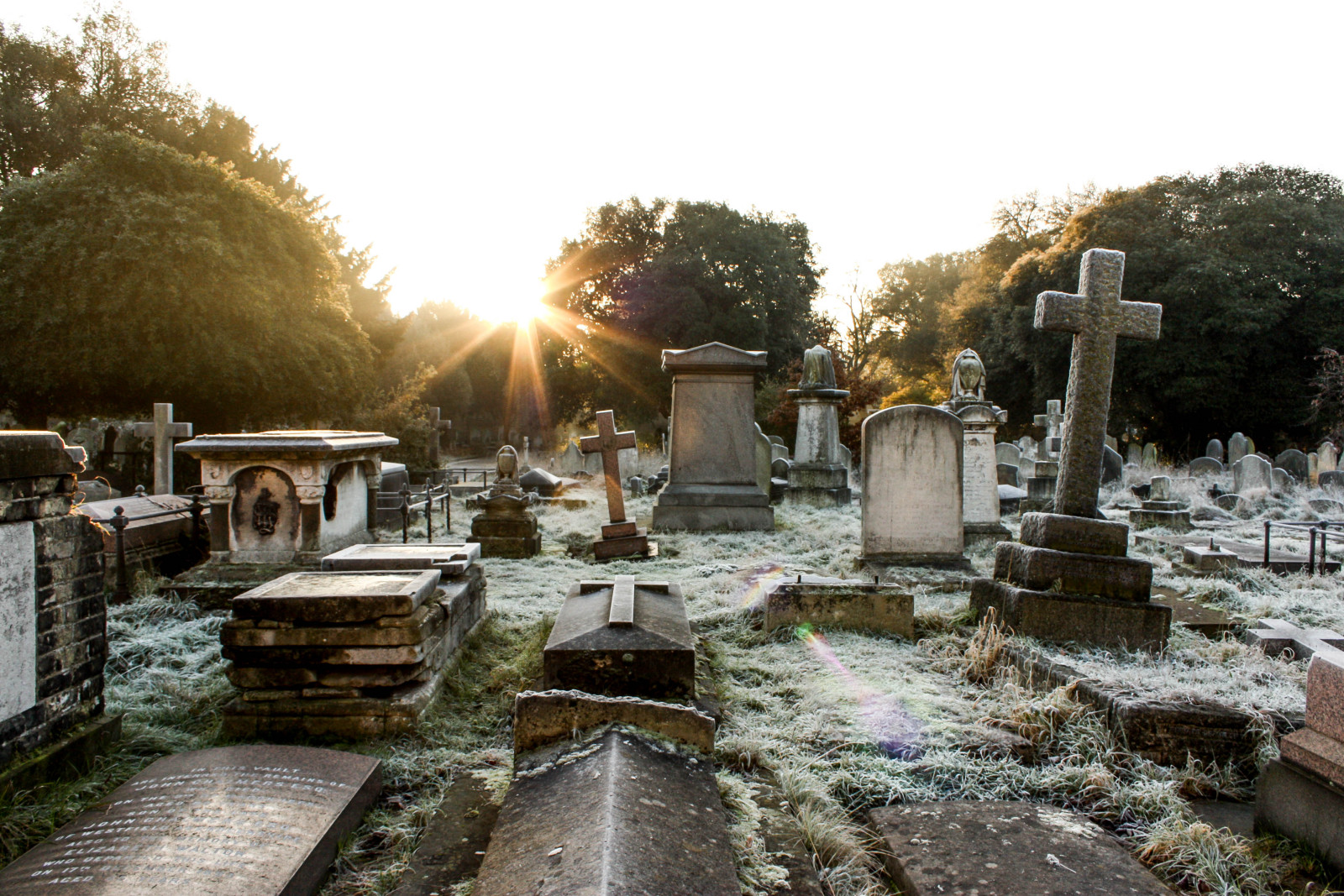 Winter morning at Brompton Cemetery